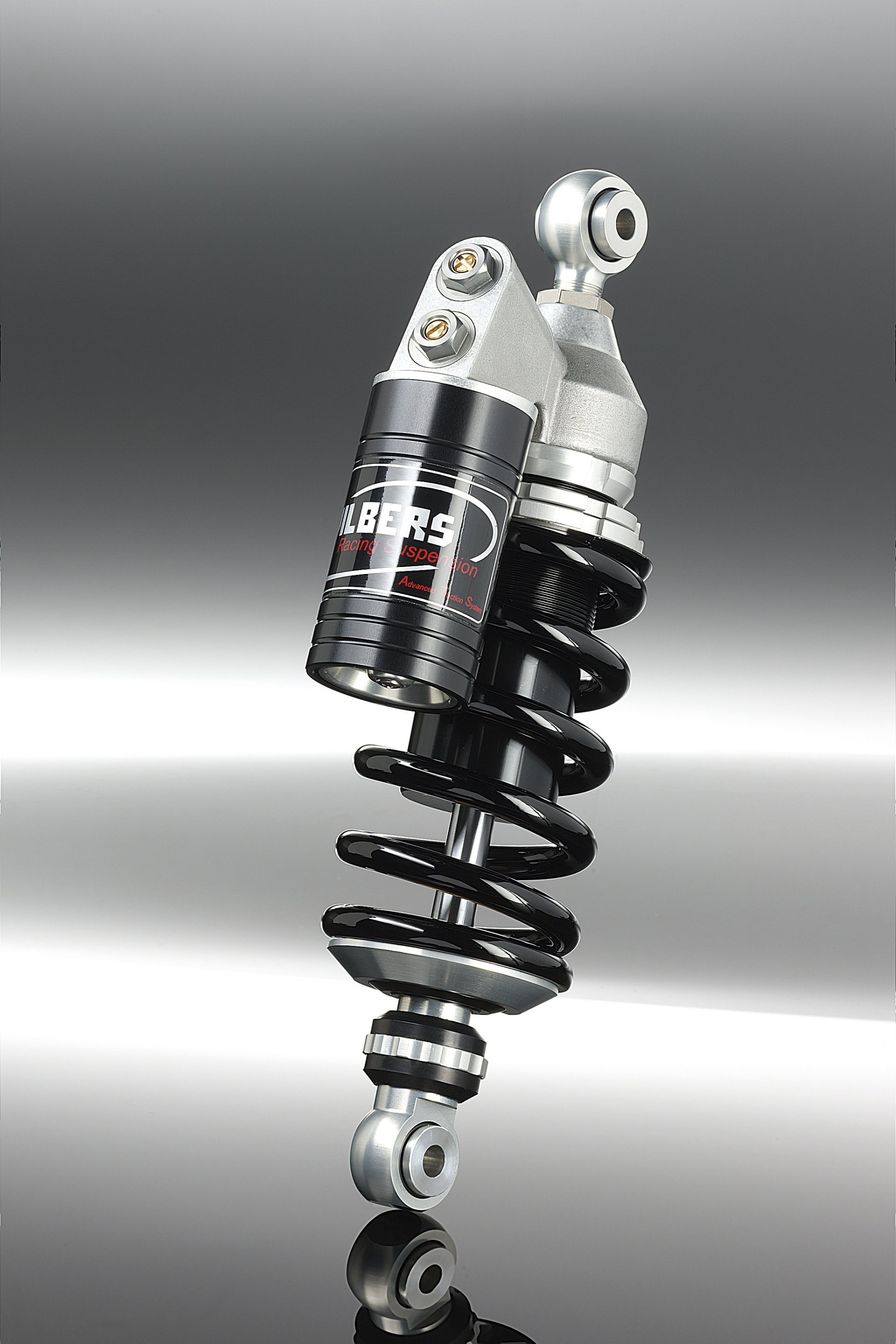 Wilbers suspension France