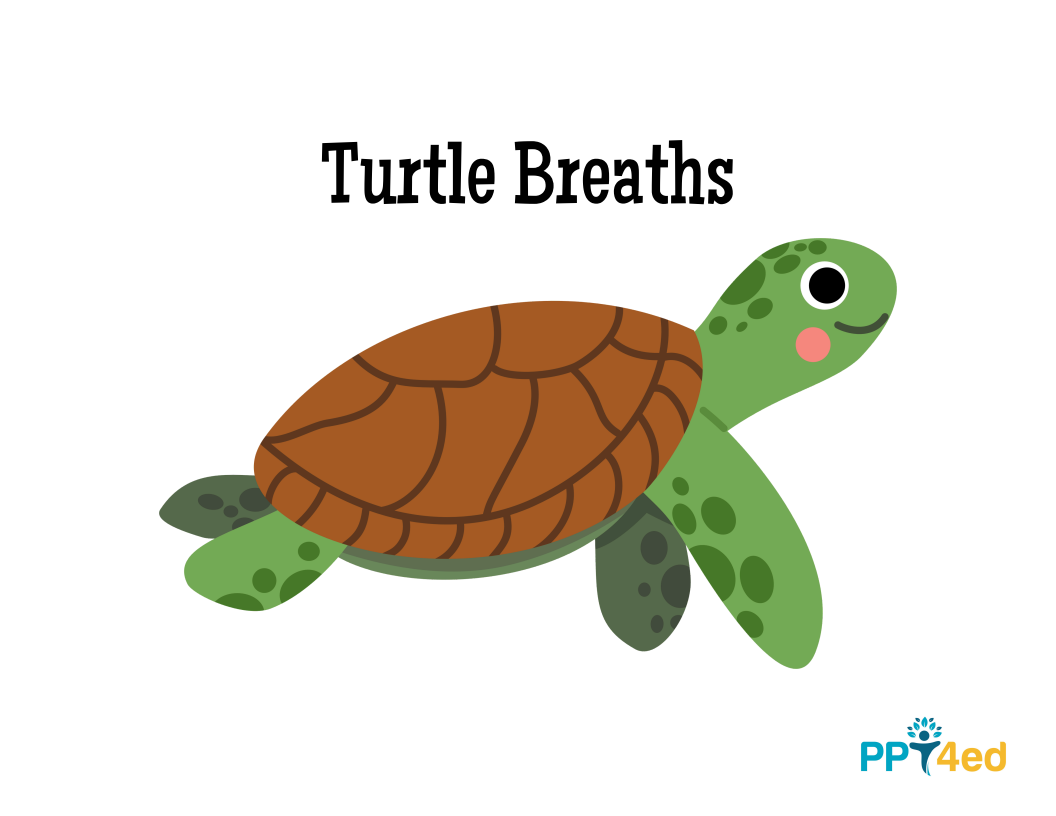 Turtle Breaths Social Story