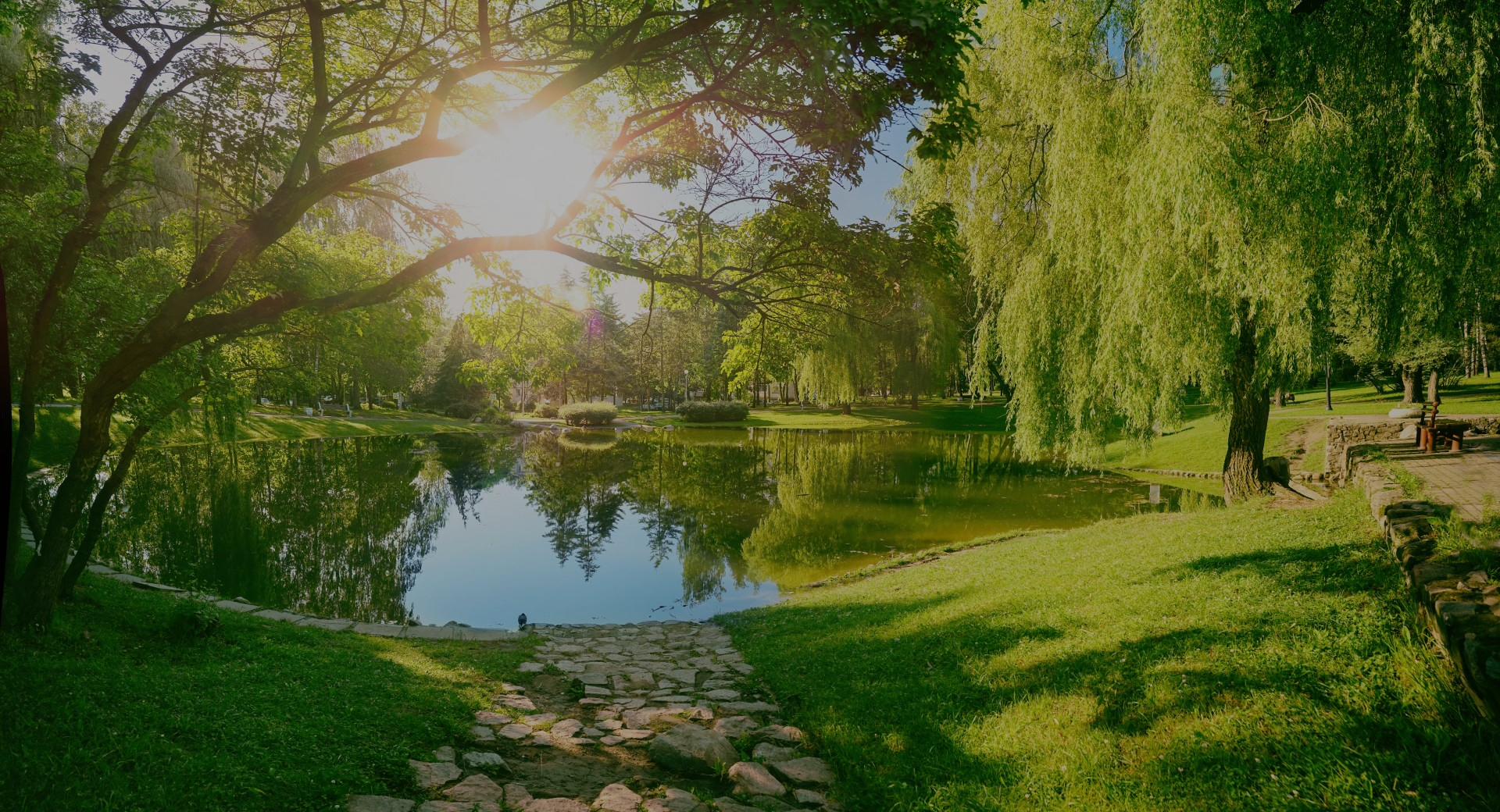 The sun is shining through the trees over a lake in a park.