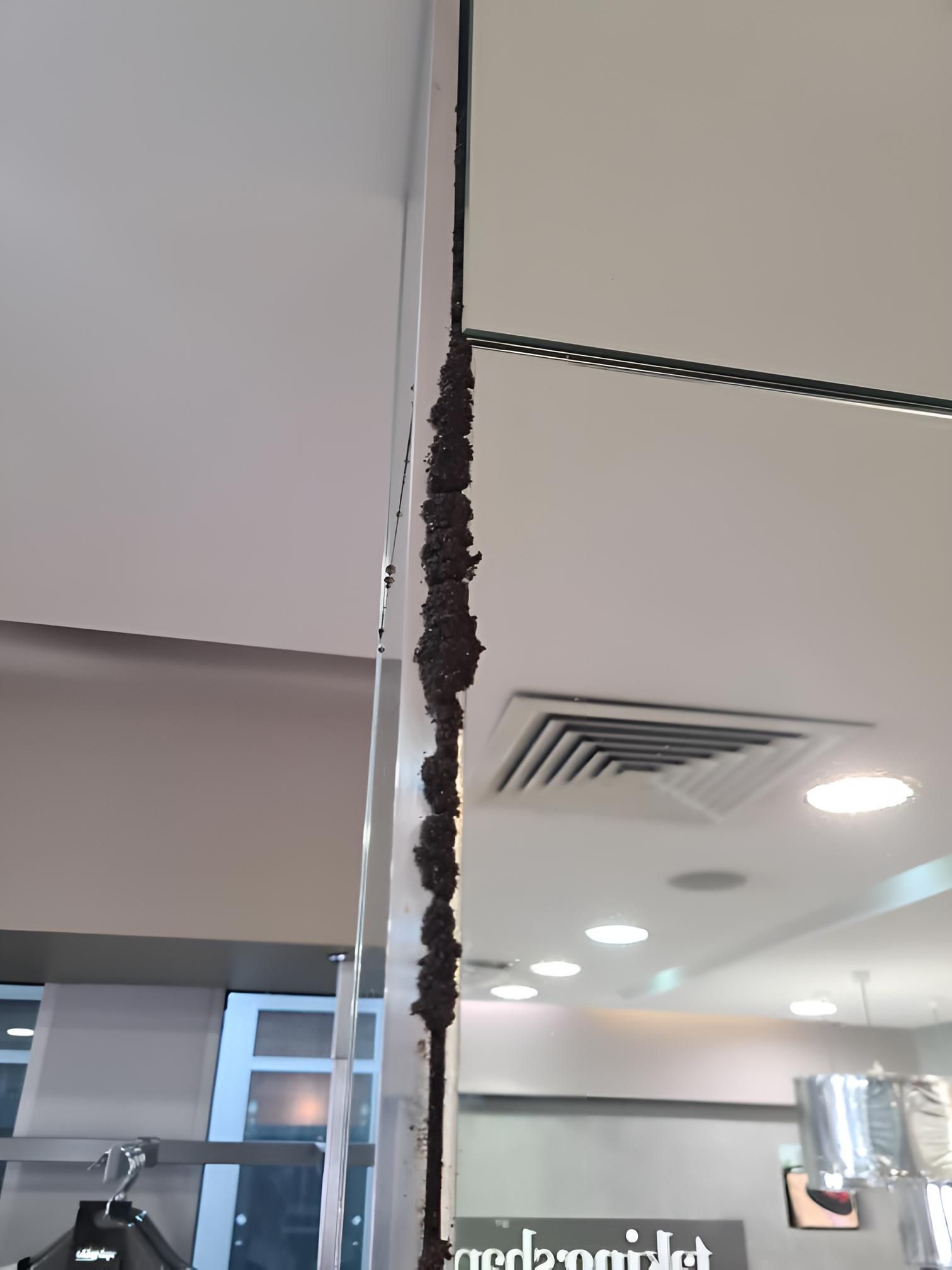 Damaged Building Having a Pest on It — Keiran Mortimer Pest Control in Crows Nest, QLD