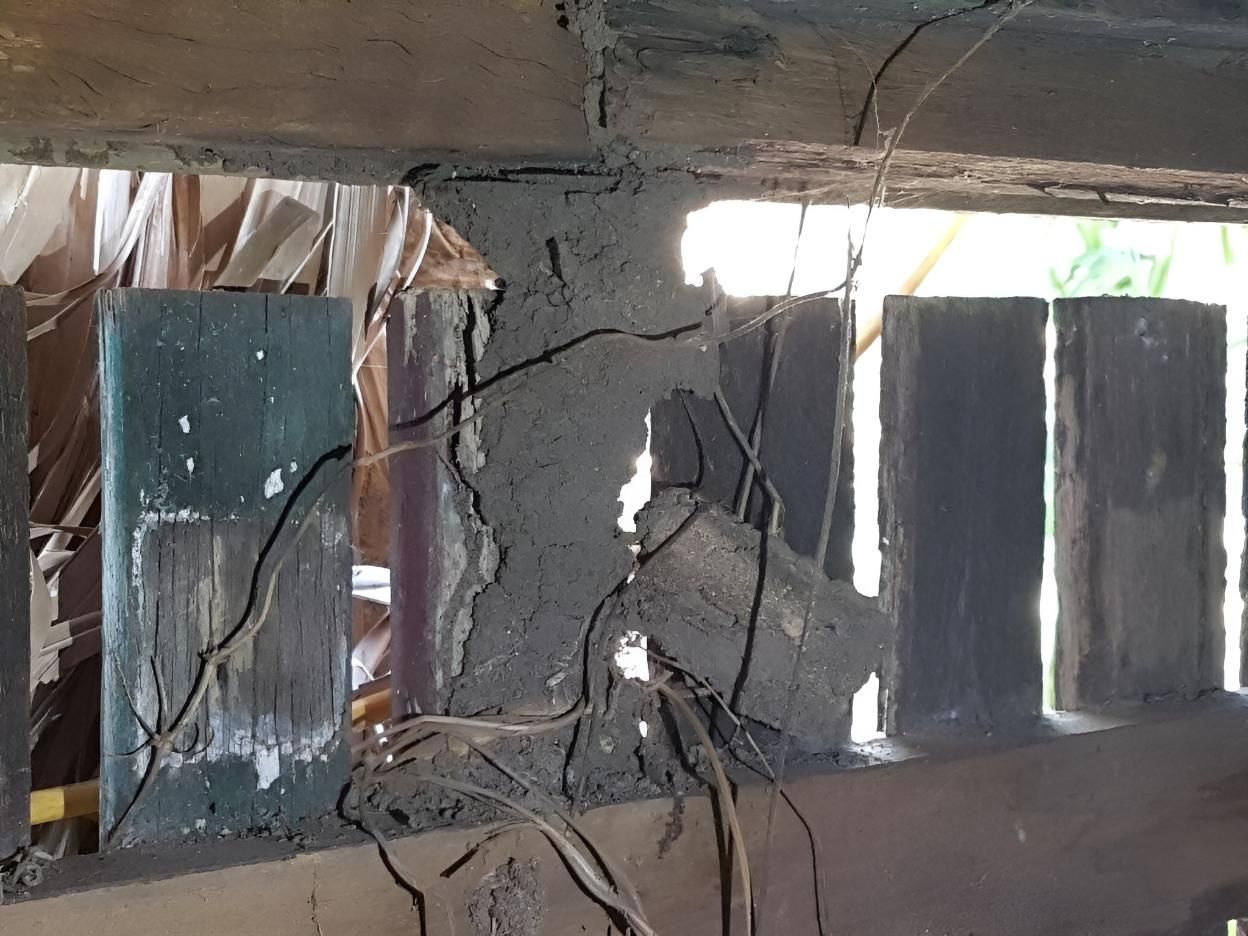 Close Up of a Wooden Fence With Termite — Keiran Mortimer Pest Control in Middle Ridge, QLD