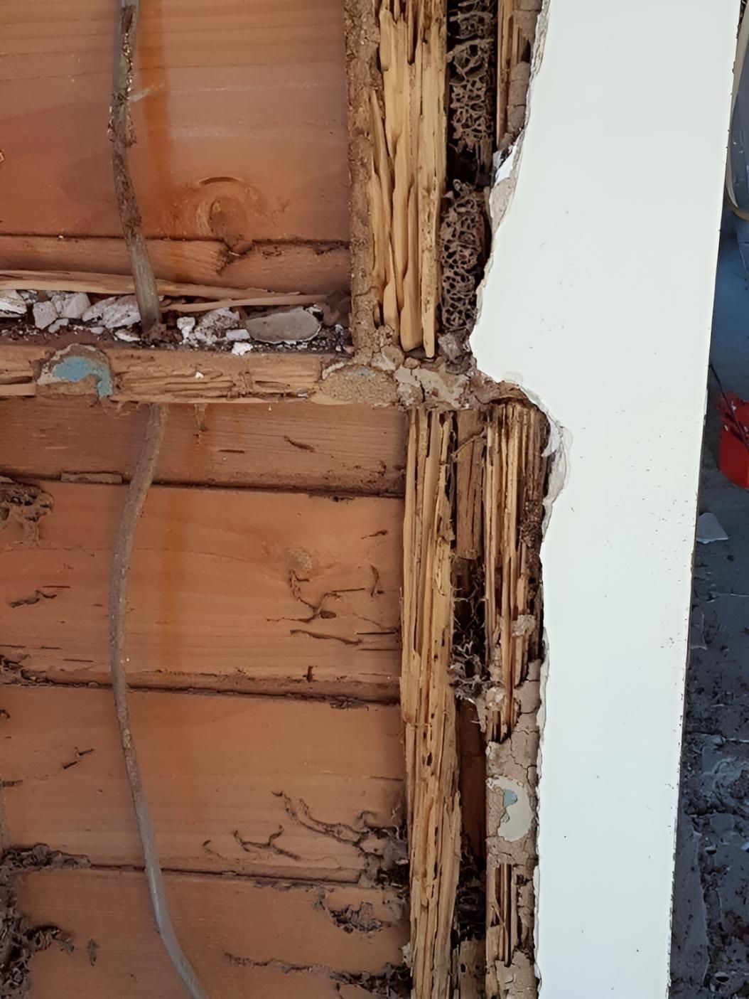 Close Up of a Wooden Wall With Termites Eating It — Keiran Mortimer Pest Control in Middle Ridge, QLD