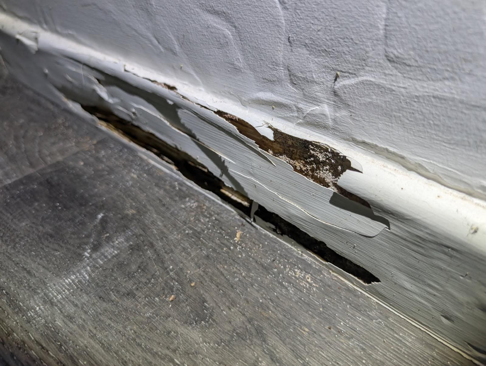 A Wooden Wall Eaten By Termites
