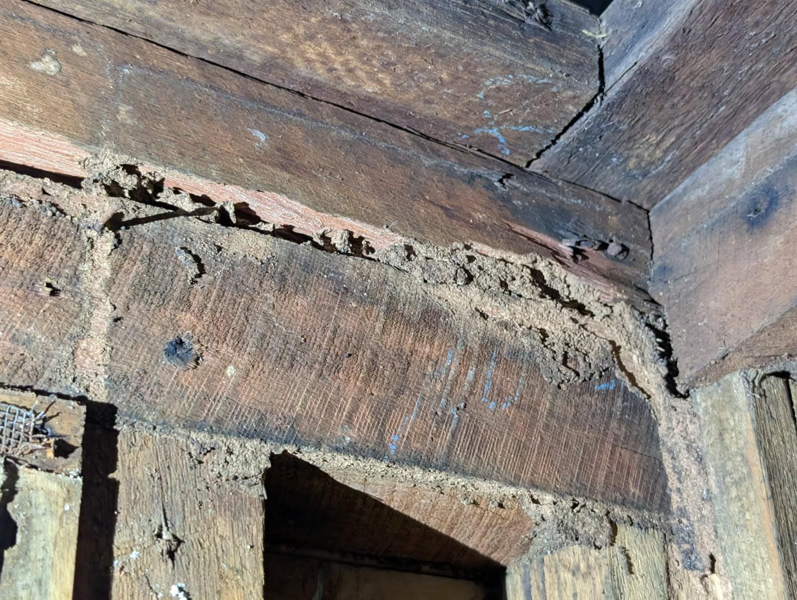 Close-up Of Termite Damage On Wooden Beams Inside A Structure.