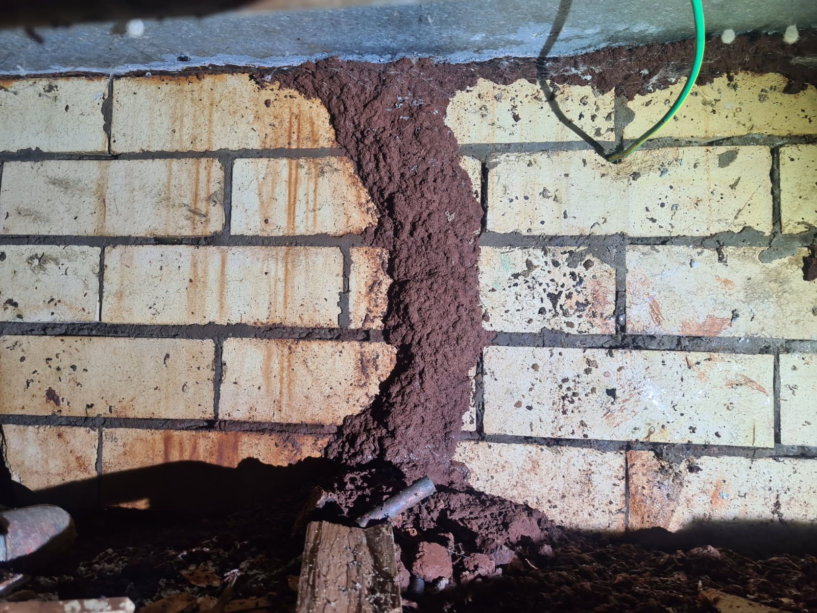 Brick wall with a vertical crack filled with reddish soil, indicating termite mud trail damage