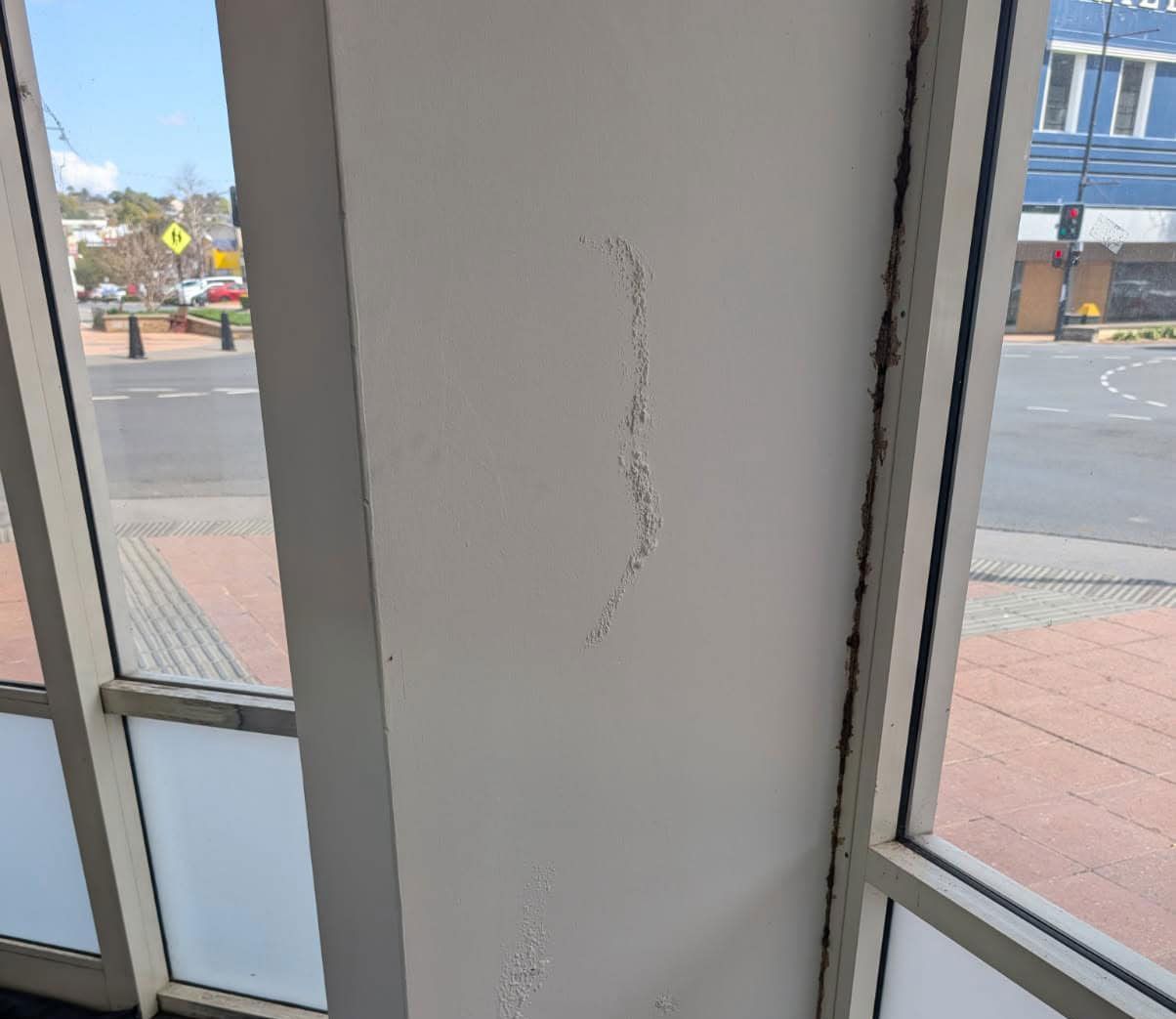 Traces Of Termites During Building And Pest Inspection In Toowoomba