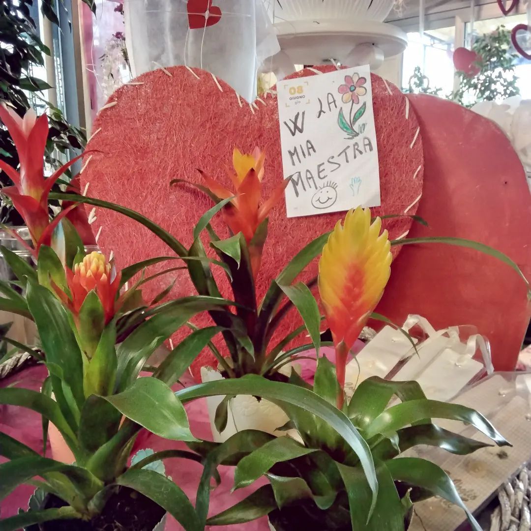 Mazzo di fiori