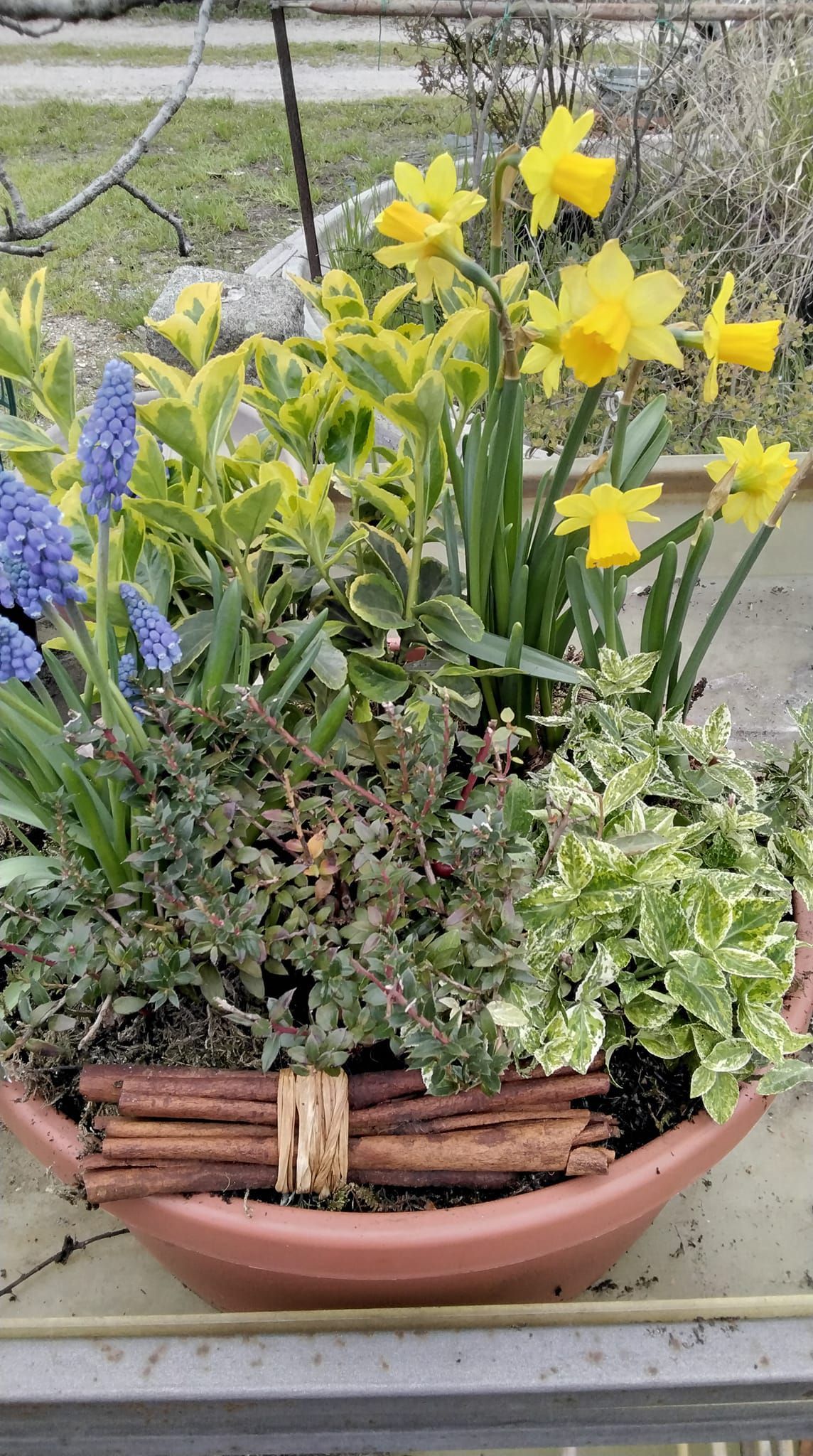 Una ciotola piena di fiori e piante su un tavolo.