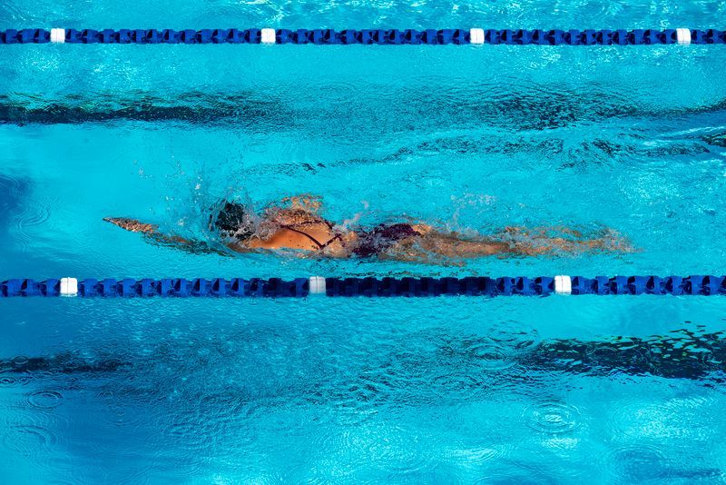 Swim Towards Health: Exploring SwimJim's Comprehensive Approach