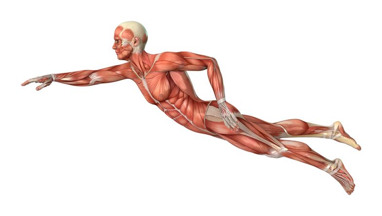 Here&rsquo;s What You Need to Know About the Physics of Swimming