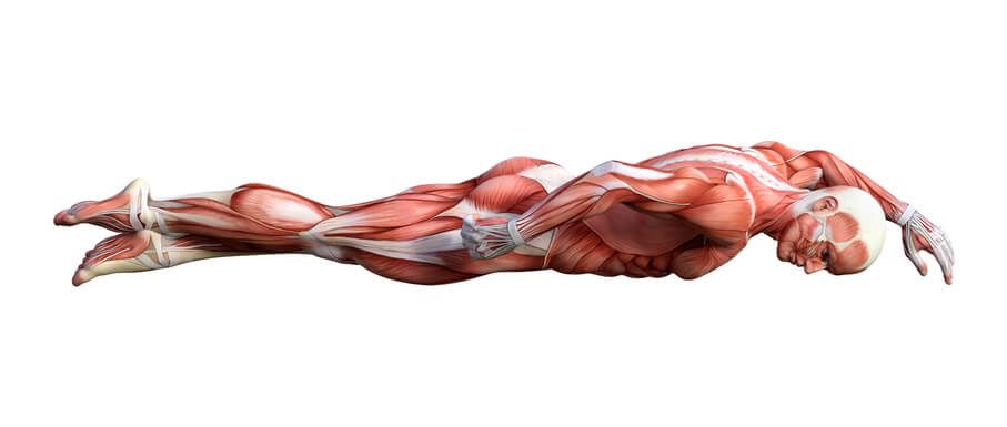 How Swimming Can Transform Your Body For the Better