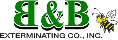 B&B Exterminating Co., Inc. logo with green letters and a yellow bee mascot