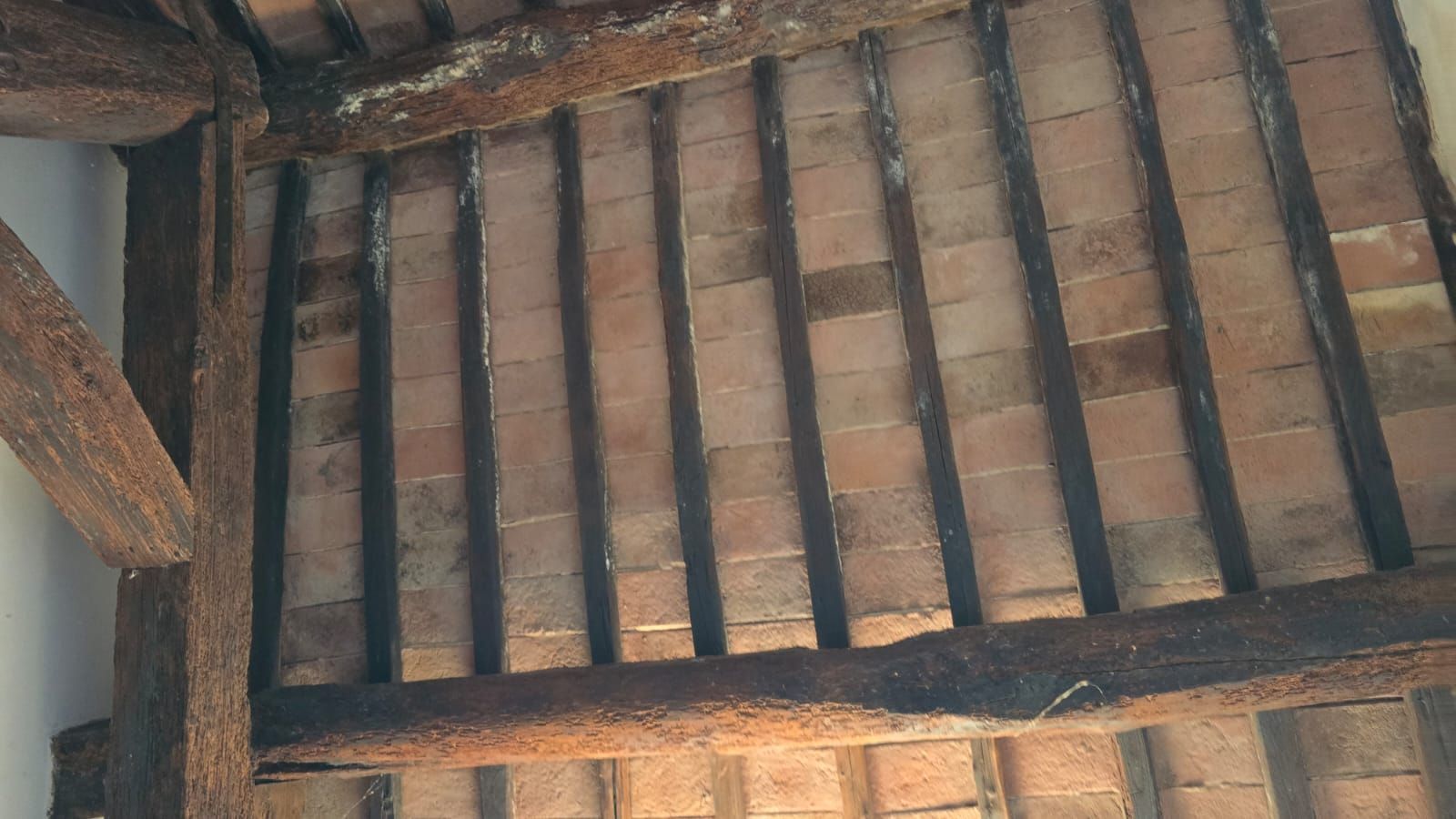 Travi e listelli di legno sotto un tetto, illuminati dalla calda luce del sole.