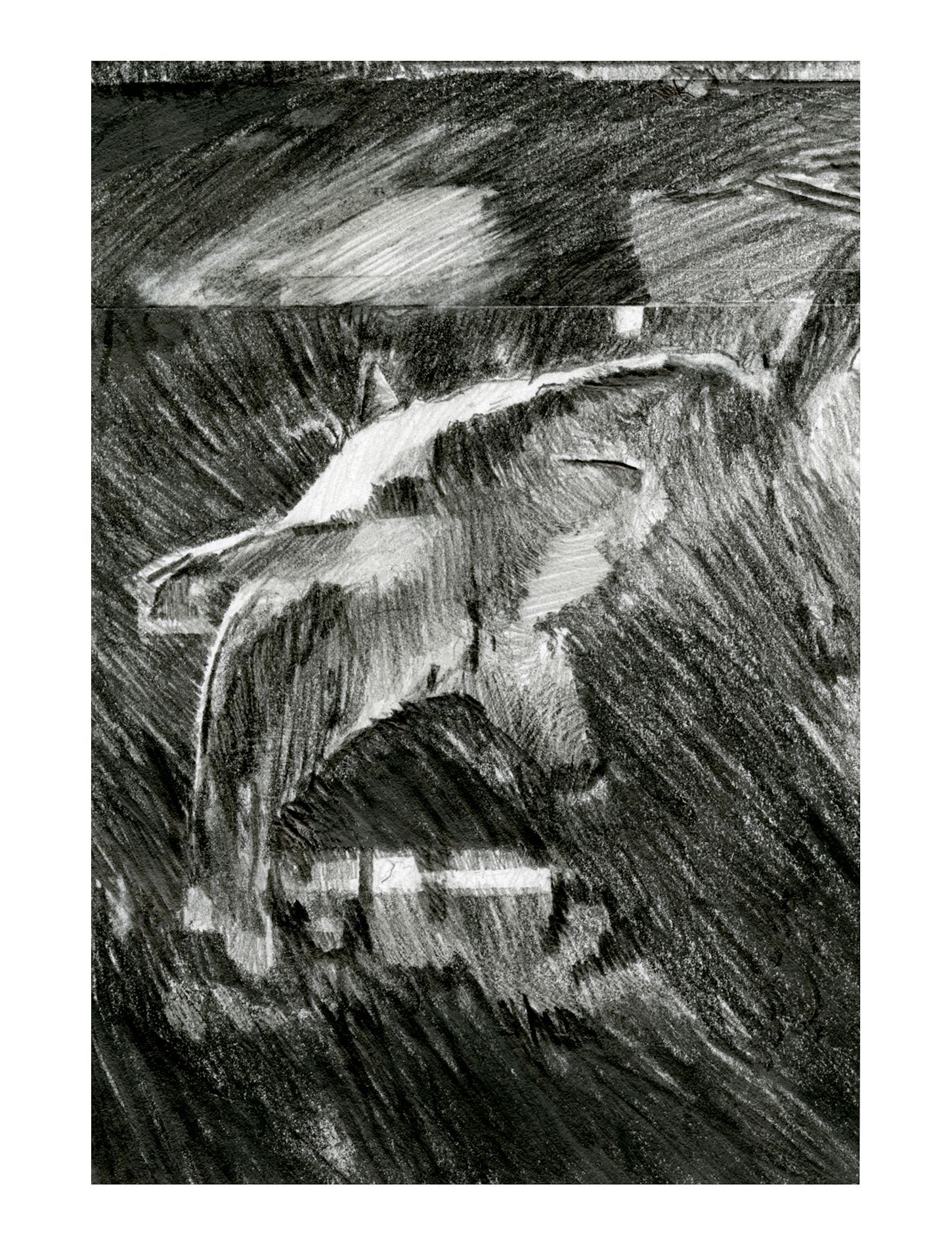 abstract art
contemporary artist
abstract drawing
abstract artist
representational art
portrait drawing
figurative drawing
landscape drawing
contemporary art
art of the day
