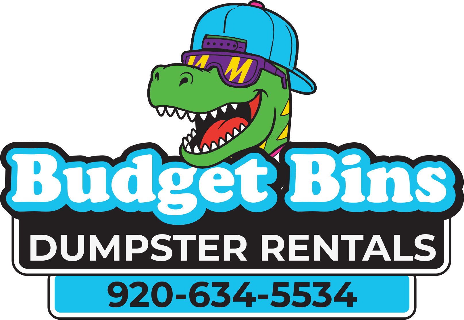 Budget Bins LLC