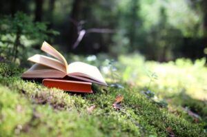 Open book resting on moss in a sunlit forest clearing