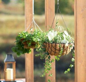 Two hanging potted plants with green foliage on a wooden porch, with a lantern in the background
