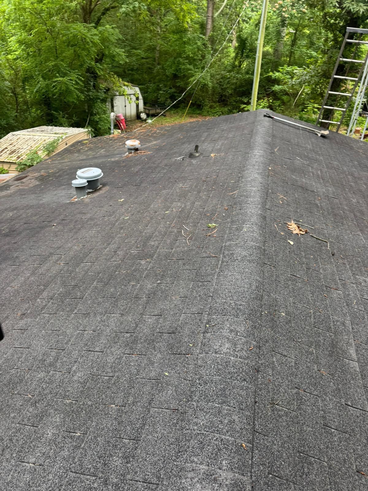 Dark gray asphalt shingle roof, vents, and a ladder, against a backdrop of trees and a small white building.