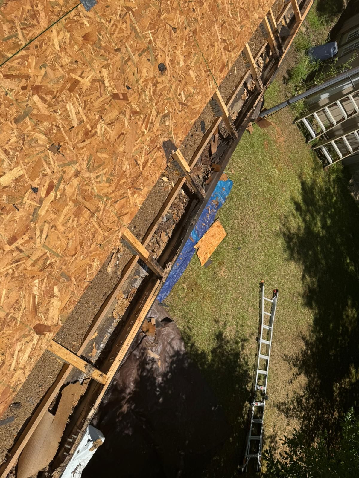 Roof with exposed framing and sheathing. Wooden structure with debris, ladder on grass.