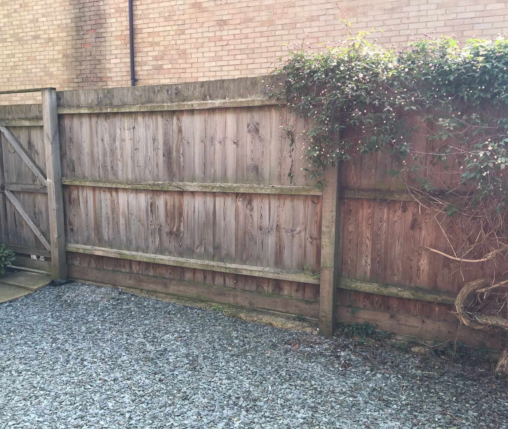 project_before_fence_gate_3