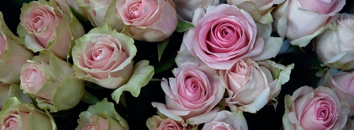 Send Flowers