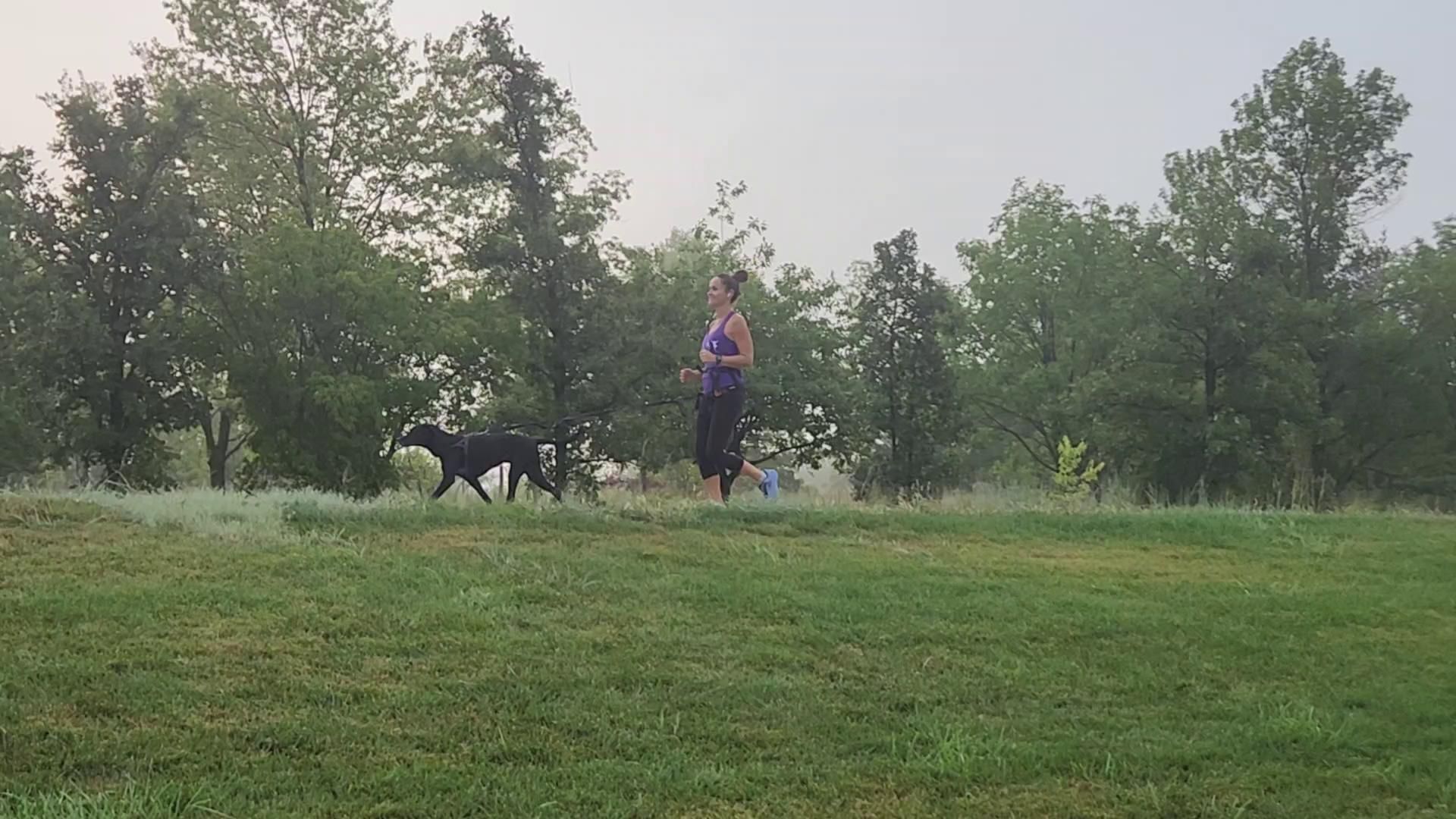 A woman is running with two dogs in a park.