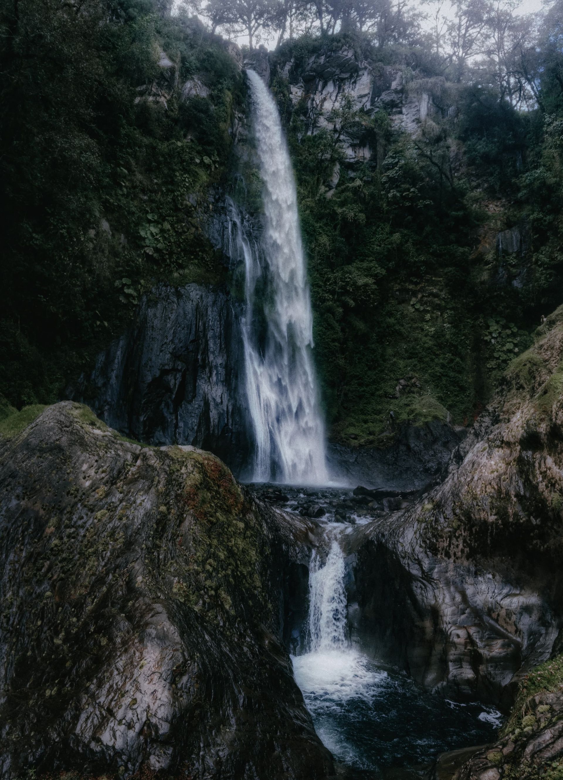 Tall waterfall in a rocky forest, cascading into a small pool surrounded by mossy cliffs.
