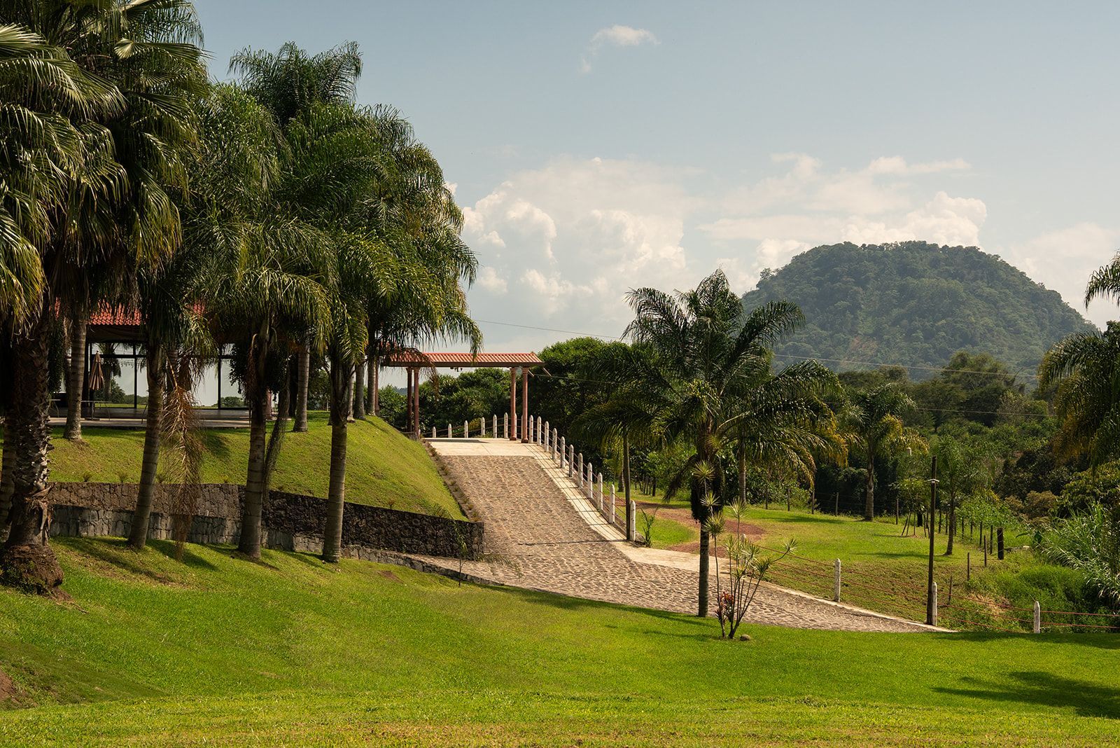 Lush park with green lawn, palm trees, stone steps, and a distant hill under a partly cloudy sky