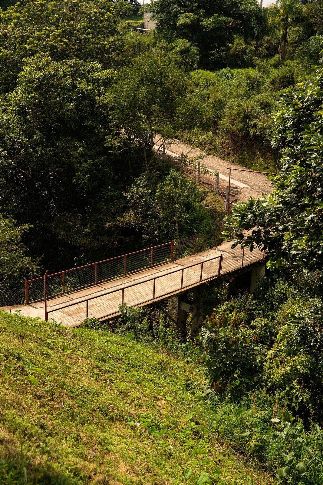 A narrow wooden bridge winds through a lush green forest hillside.