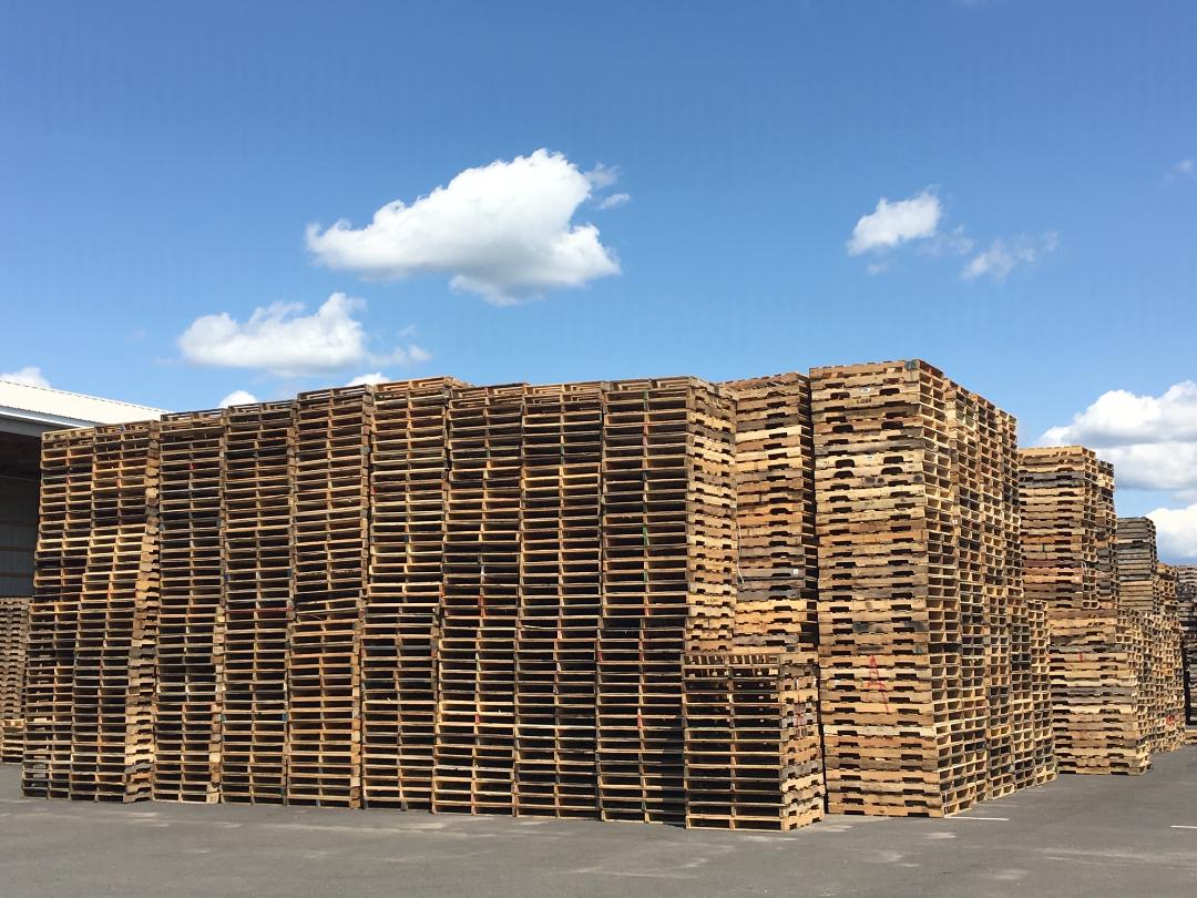 Stacks of wooden pallets in a yard under a blue sky with scattered clouds