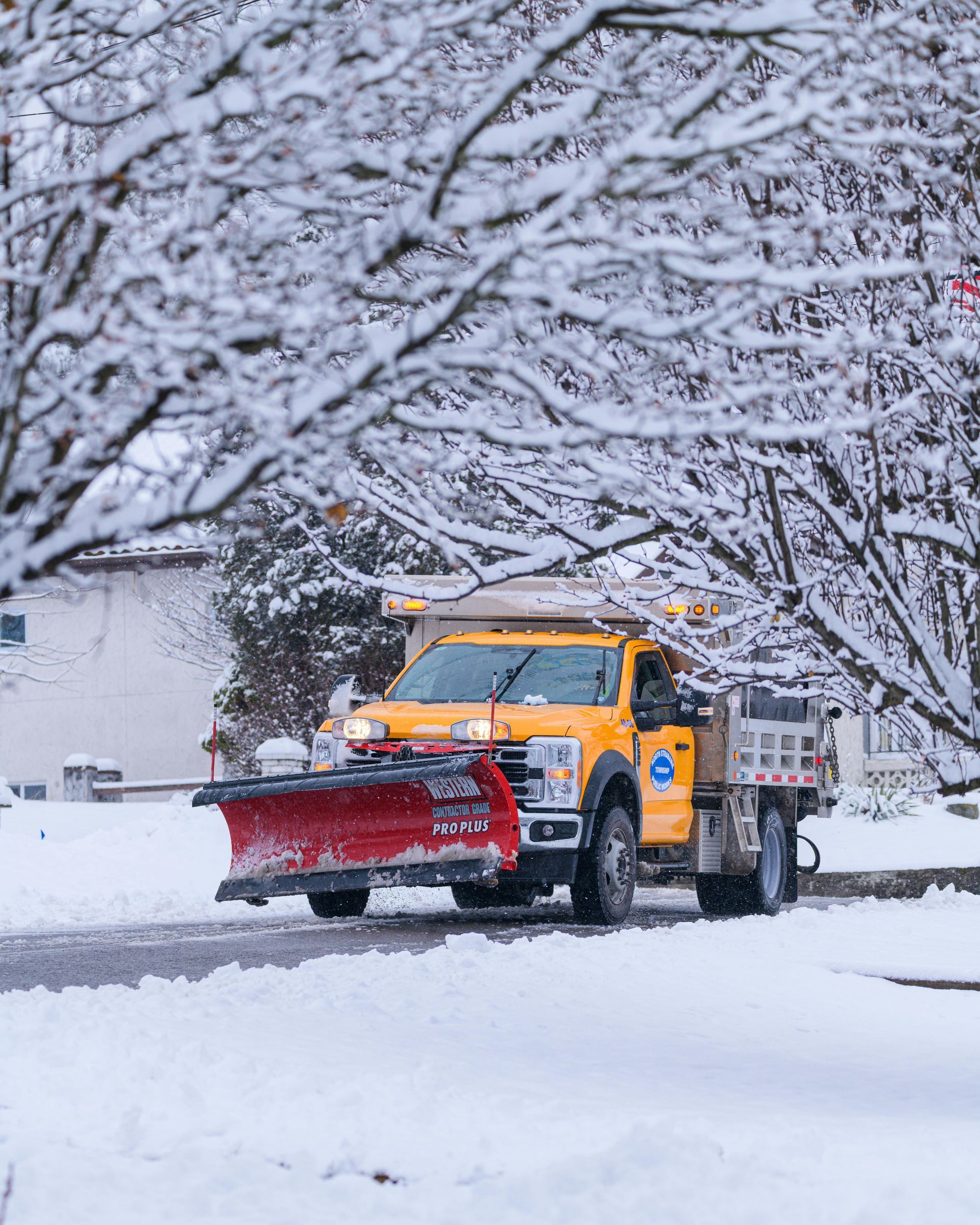 Yellow snowplow clearing a snow-covered street under snow-laden trees