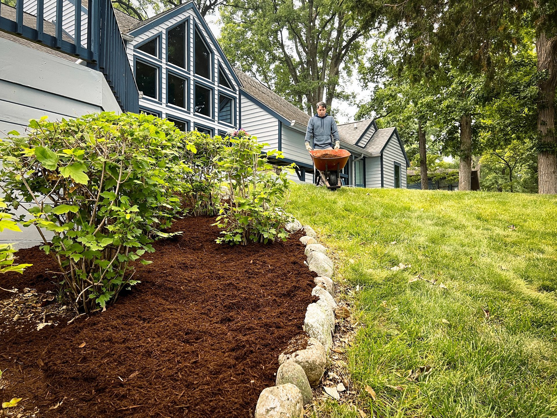 Person sitting on a bench by a landscaped lawn and row of houses, with trees and shrubs.