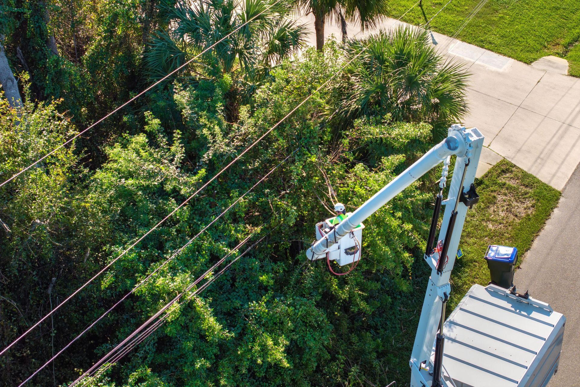 Utility truck bucket working on power lines beside dense green trees and a sidewalk