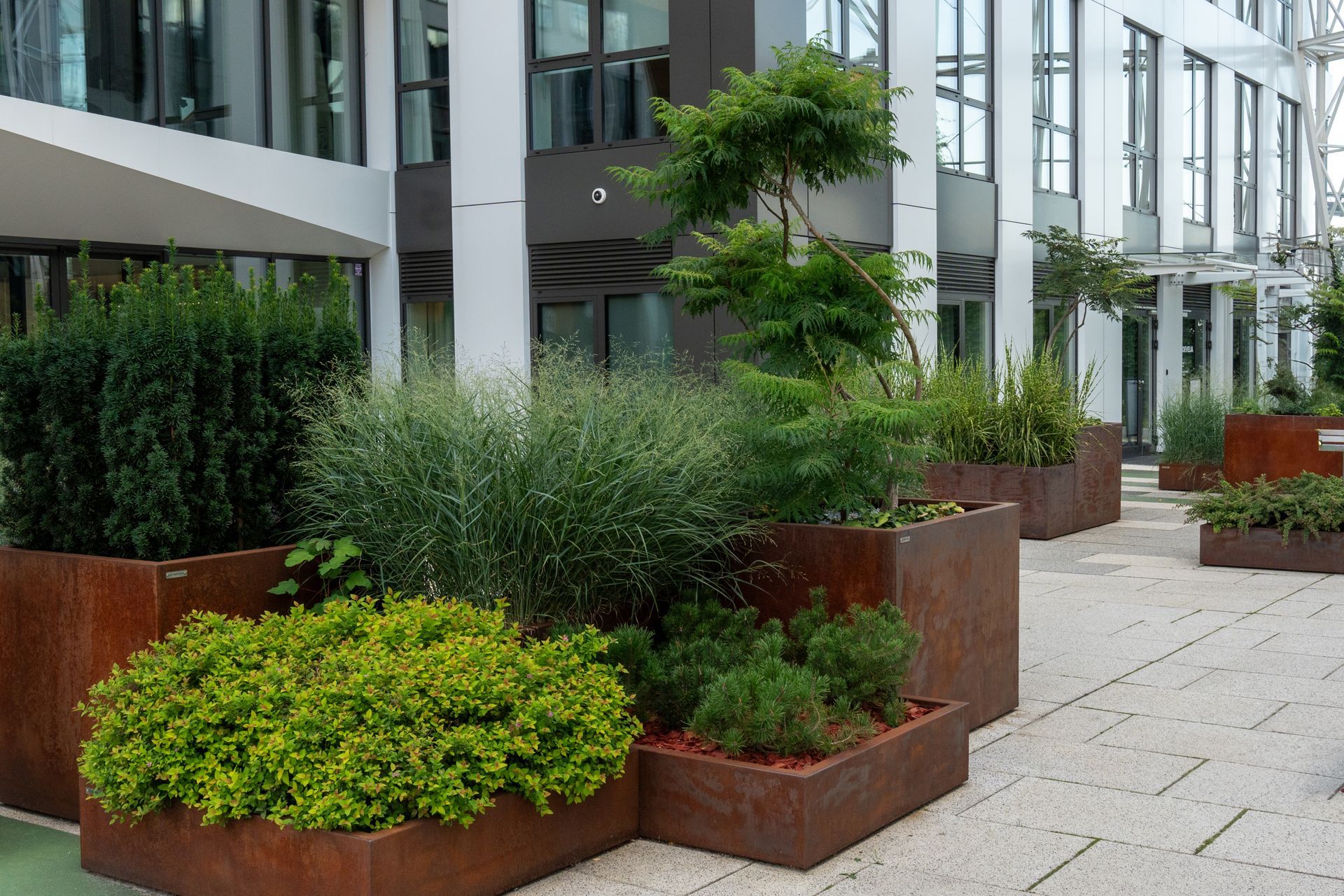 Modern office building entrance with rusted planters and lush green shrubs