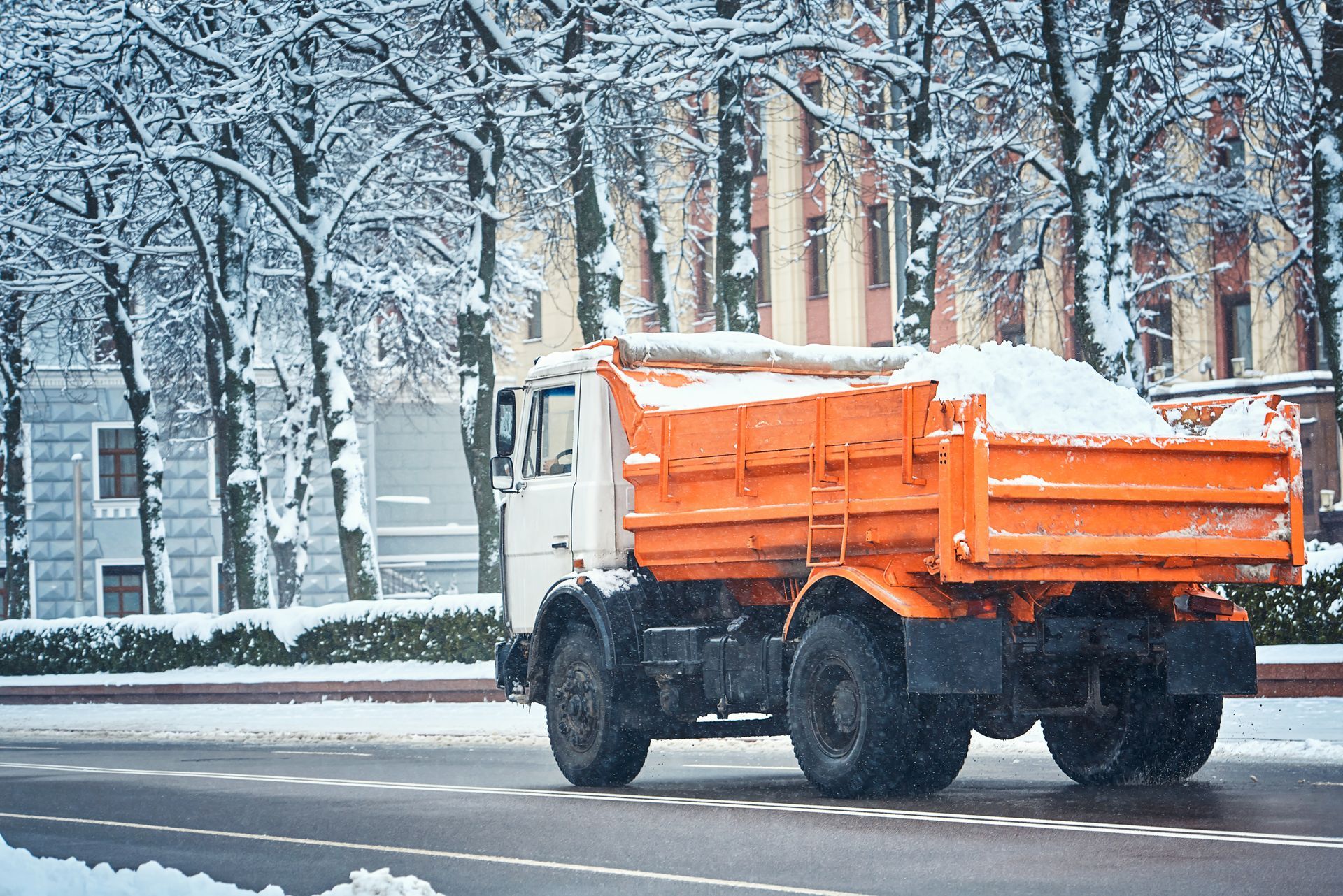 Orange snowplow truck driving on a snowy street lined with trees and buildings
