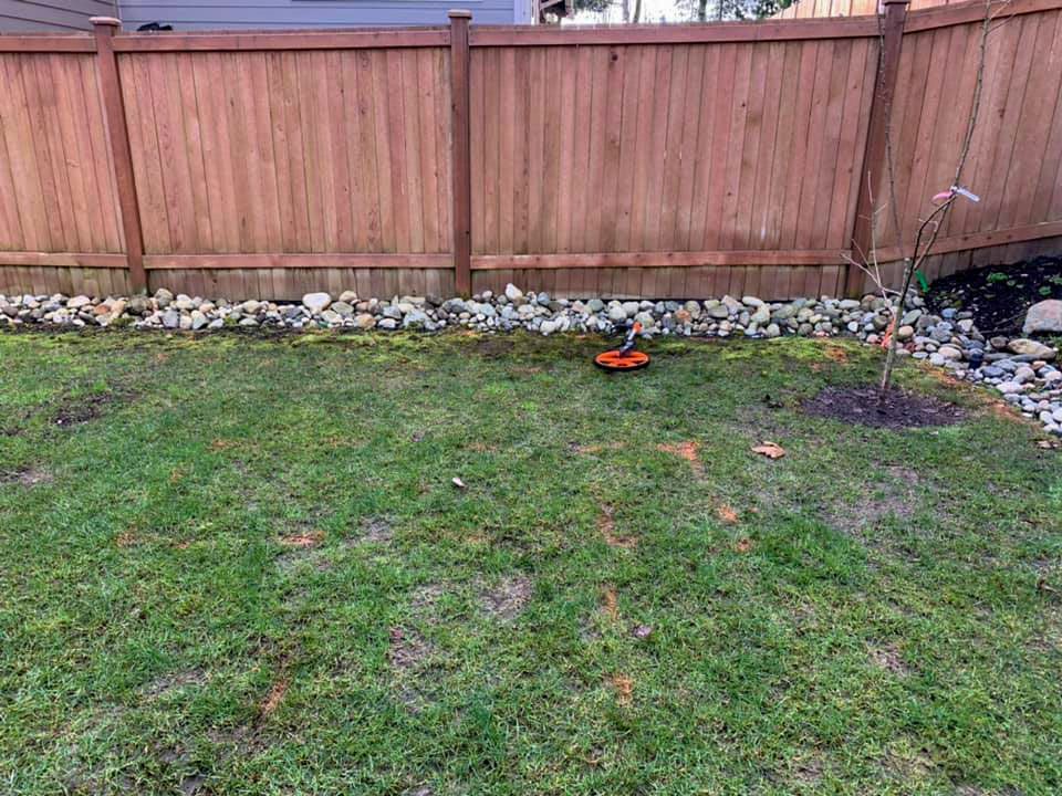 Lawn with orange marking paint, a wooden fence, and rocks along the base. An orange robotic lawnmower is visible.