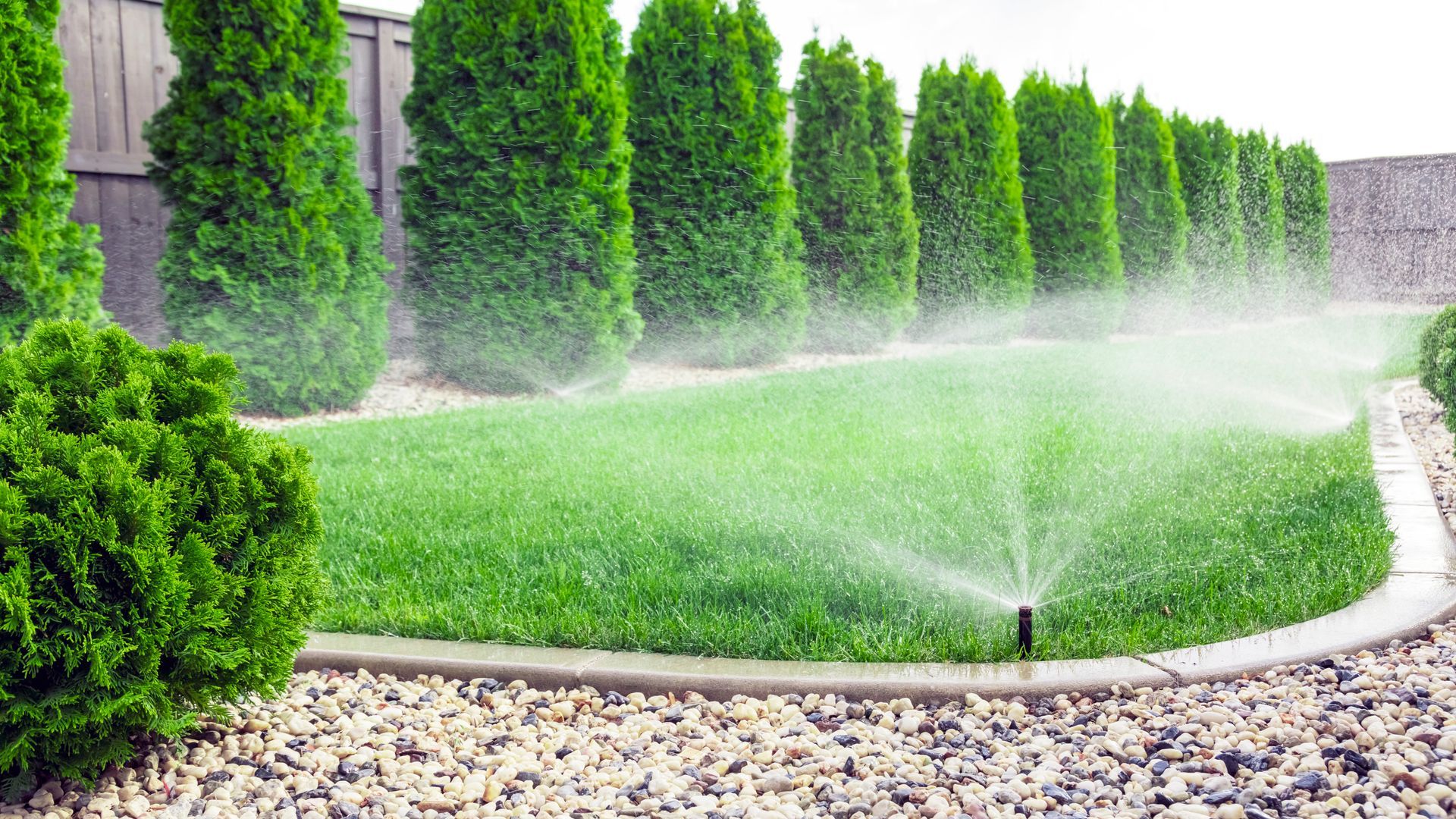 Sprinkler watering lush green lawn bordered by stones, with evergreen trees in the background.
