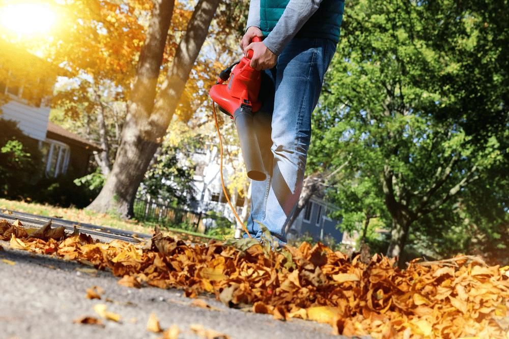 A Person Is Blowing Leaves On The Sidewalk With A Leaf Blower — Leslie Farm & Garden Machinery In South Grafton, NSW