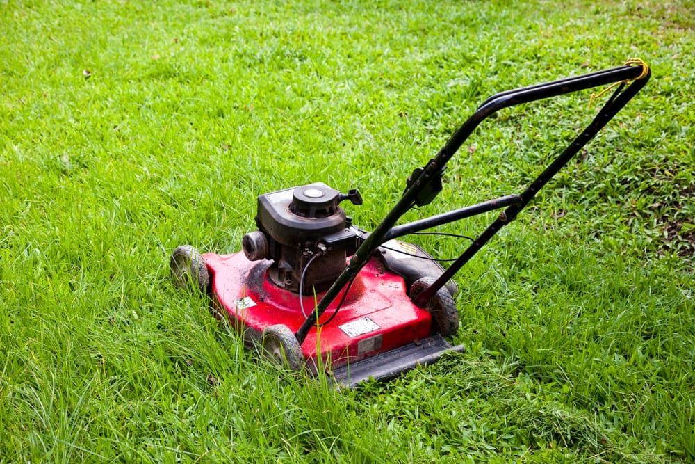 A Red Lawn Mower Is Sitting On Top Of A Lush Green Lawn — Leslie Farm & Garden Machinery In South Grafton, NSW