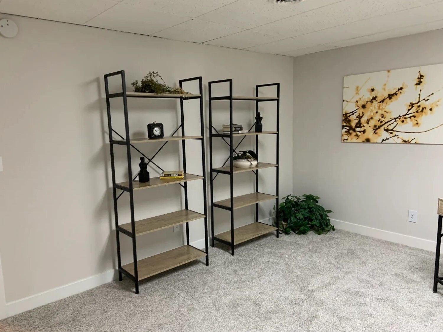 Two black metal and wood bookshelves in a room with light grey carpet and wall art.
