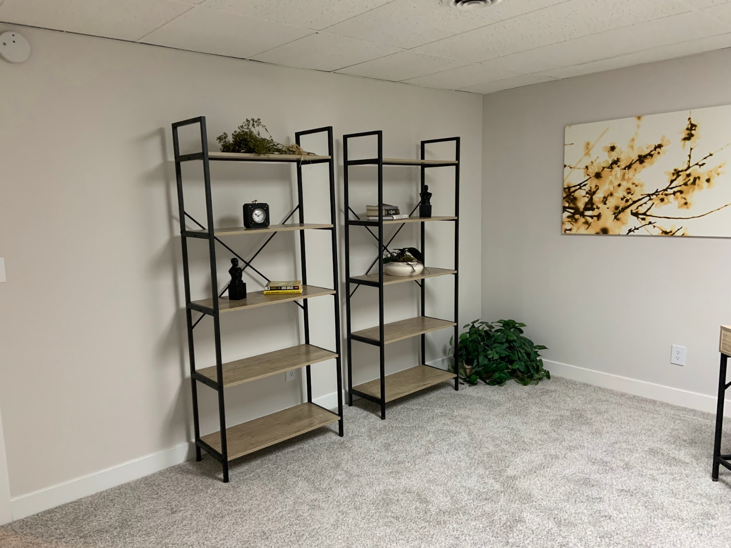 Two black metal and wood shelves in a room with neutral carpet, a painting, and a green plant.