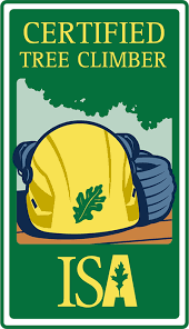 Certified Tree Climber badge: yellow helmet, climbing rope, oak leaf, ISA logo, green and white frame.