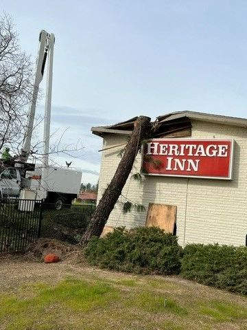 Tree Collapsed on Heritage Inn Sign
