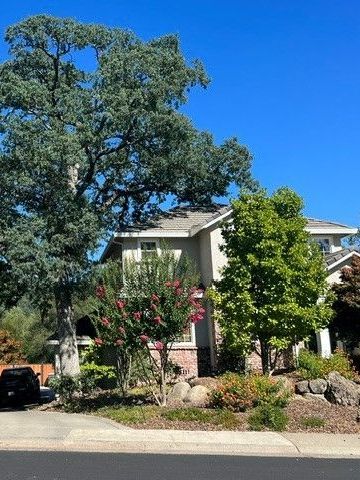 Tree in Front of a Residential House
