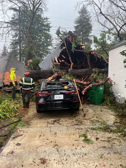 Tree Collapse on Car and House

