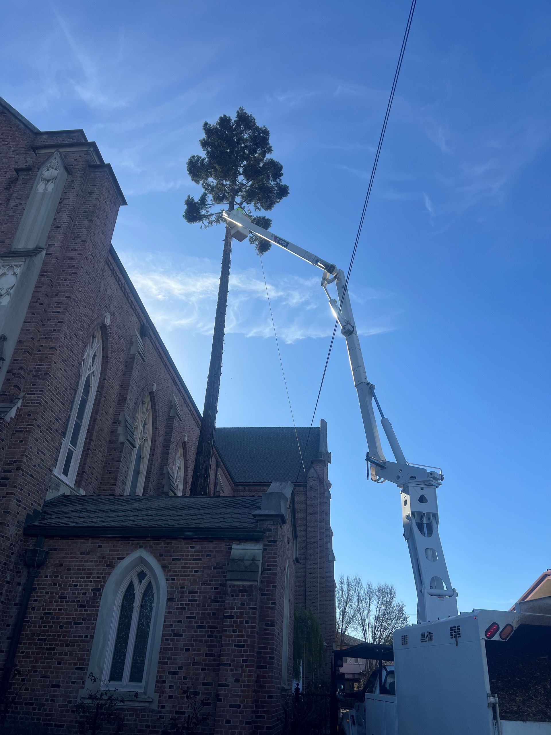 Tall telecommunications tower disguised as a tree next to a brick building. A white crane extends overhead.