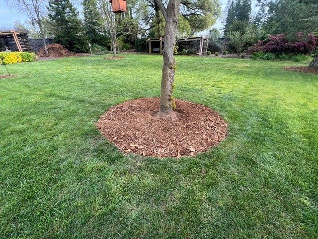 Tree Mulching in Stockton, CA - FC Valley Tree Care Inc.