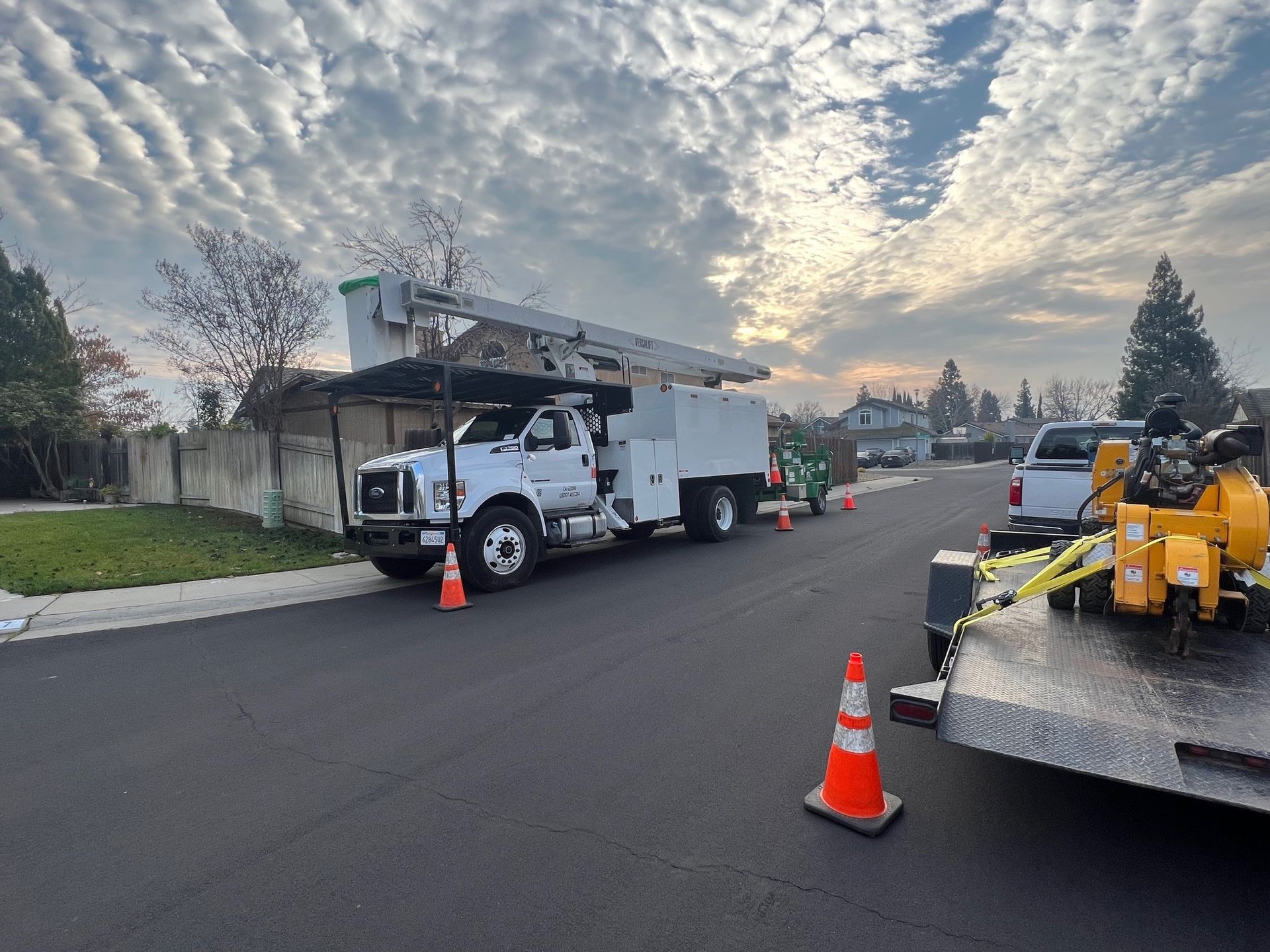 Tree Mulching in Stockton, CA - FC Valley Tree Care Inc.