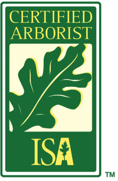 Green and gold Certified Arborist ISA logo with an oak leaf.