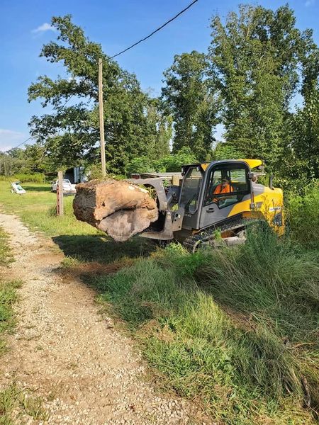 Yellow excavator moving a large log beside a dirt road in a grassy rural area